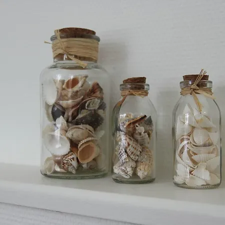 Ferienhaus Holiday Droom Op Het Water *